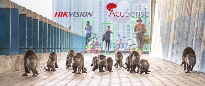 Hikvision AcuSense Technology - Description and Application scanarios